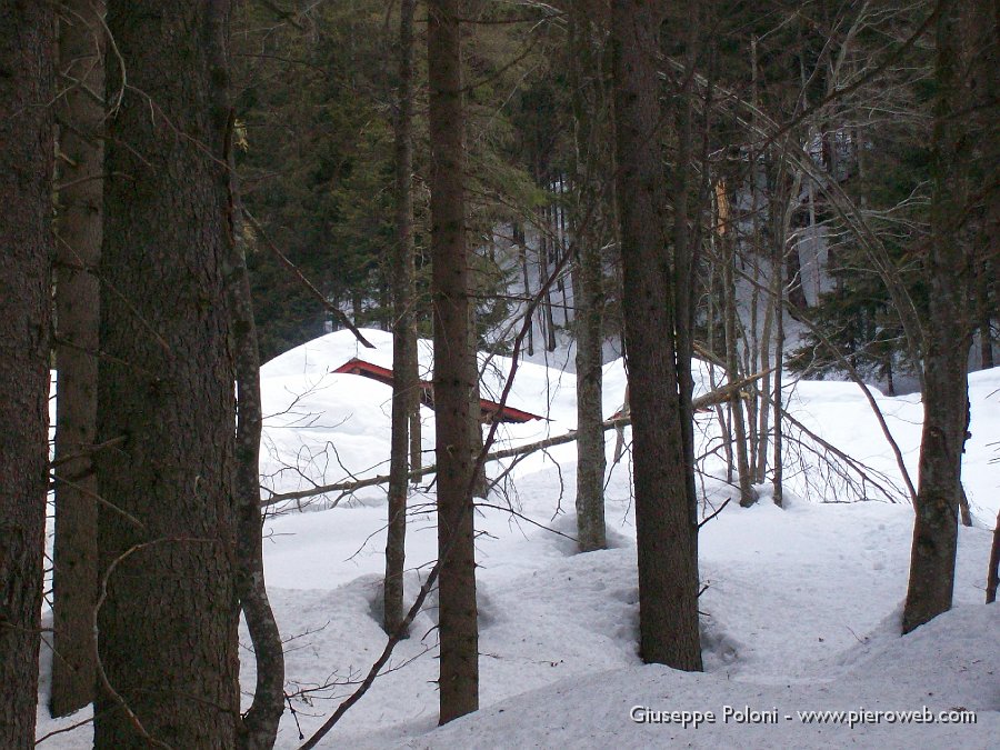 02 - La piccola baita di legno, in mezzo al bosco, è sommersa dalla neve  .jpg